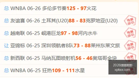 2026世界杯法国队再胜，能否横扫巴拉圭终极对决前瞻